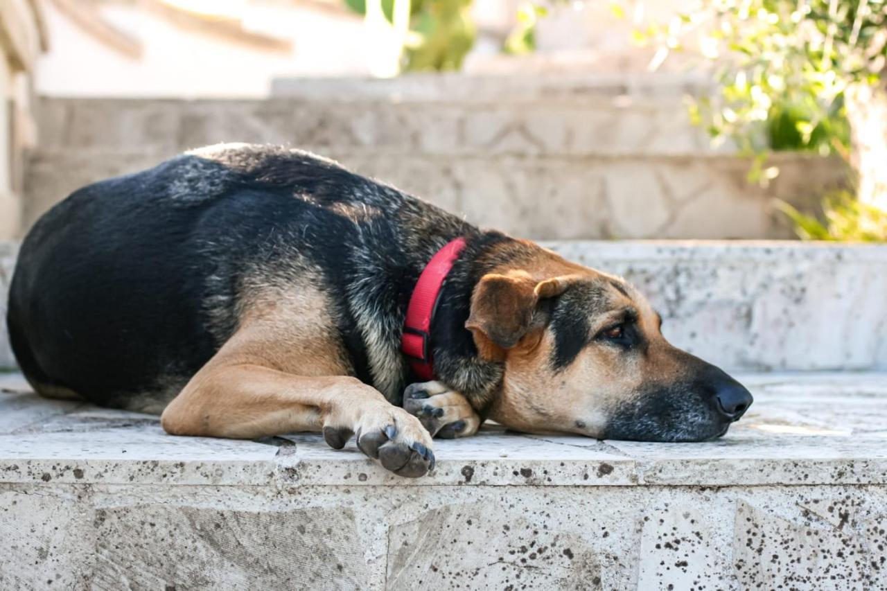 Tenuta Valle Dell Idro Otranto Con Piscina Casamassella Zewnętrze zdjęcie