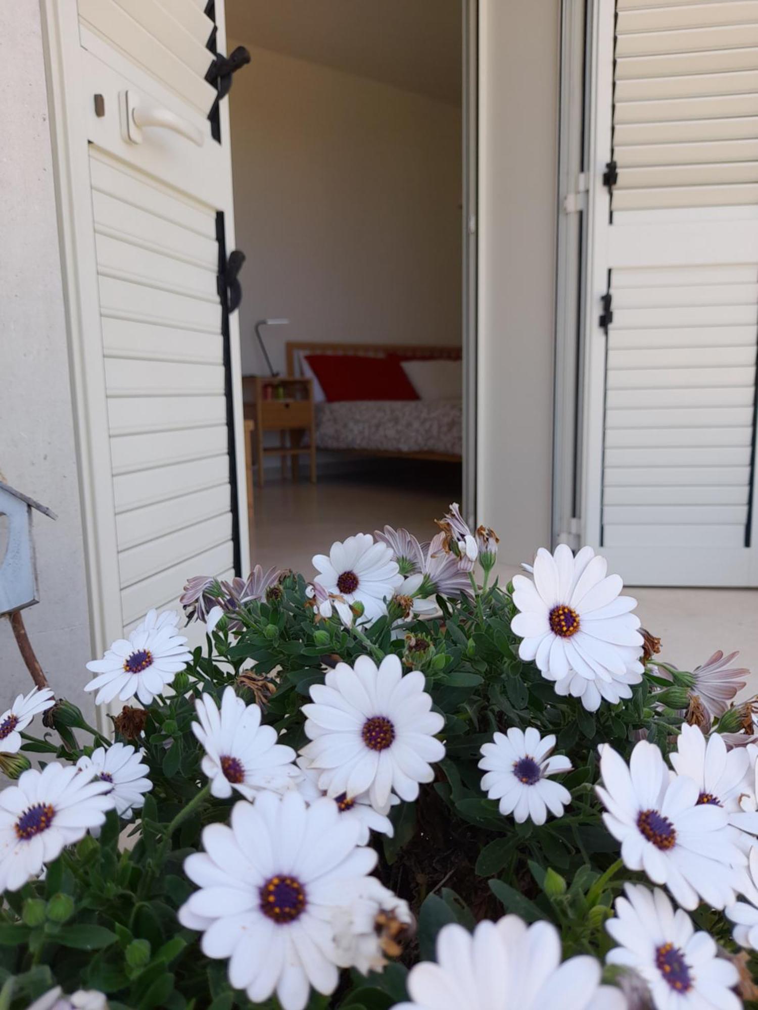Tenuta Valle Dell Idro Otranto Con Piscina Casamassella Zewnętrze zdjęcie