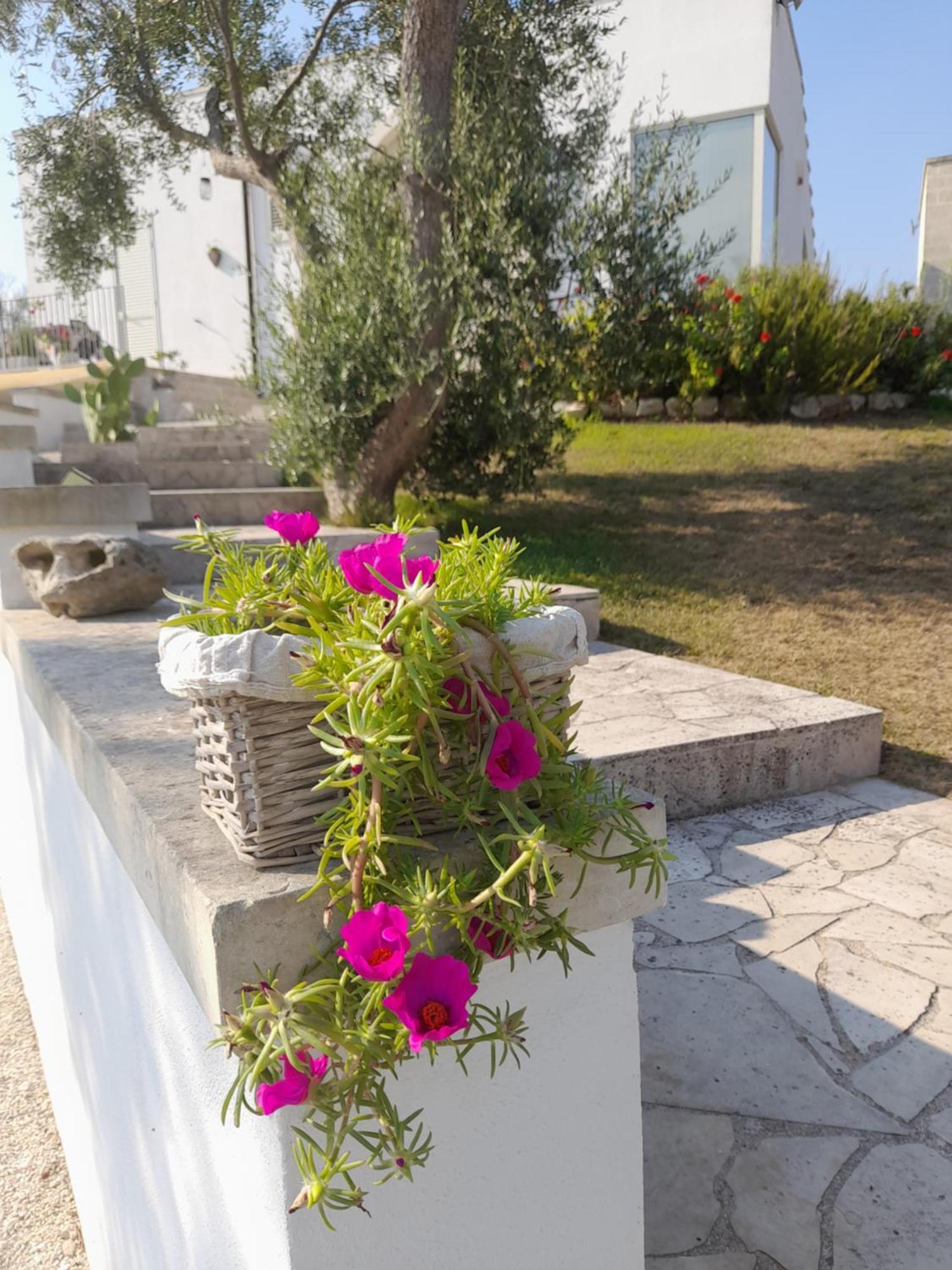 Tenuta Valle Dell Idro Otranto Con Piscina Casamassella Zewnętrze zdjęcie